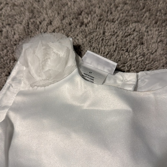 Toddler Girl Blueberi Boulevard Floral Applique Fit and Flare Dress - Picture 4 of 9